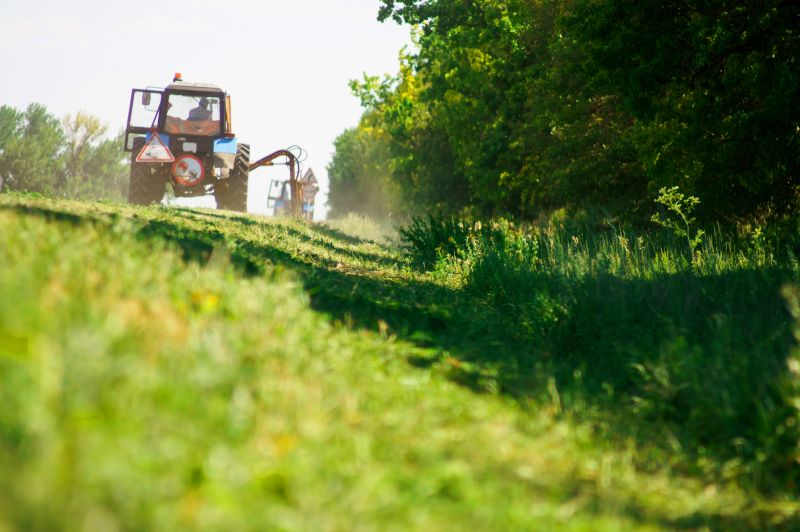 Farm Clearing in Marietta, GA