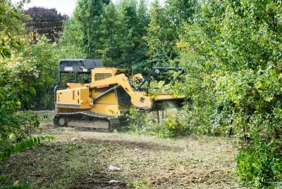 Lake Lot Clearing in Marietta, GA