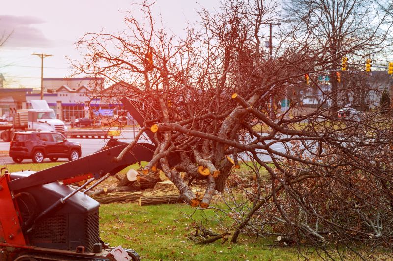 Land Clearing in Katy, TX