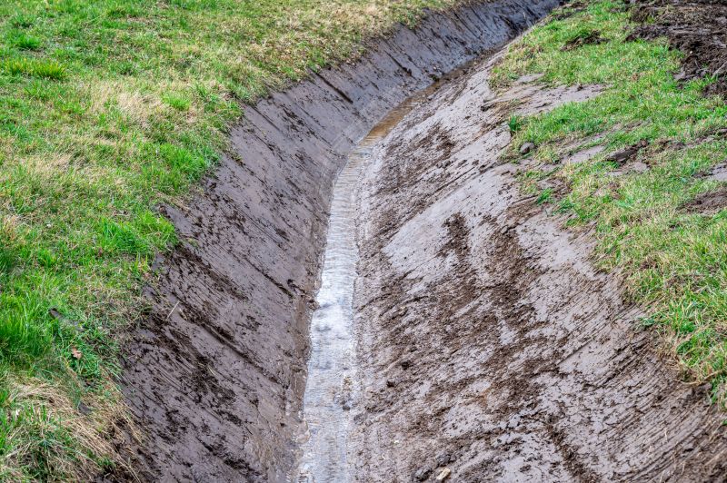 Land Grading in Houston, TX